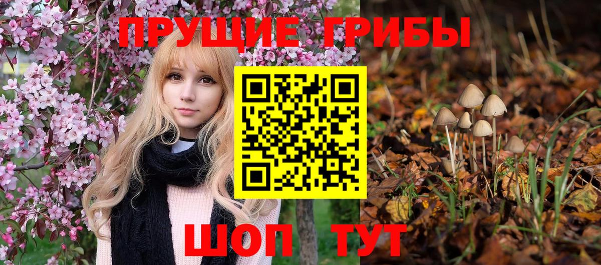 Галлюциногенные грибы GOLDEN TEACHER  где можно купить наркотик  Нерюнгри  Вход с VPN  Псилоцибиновые грибы мицелий 