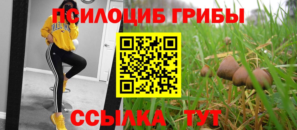 Галлюциногенные грибы ЛСД Нерюнгри